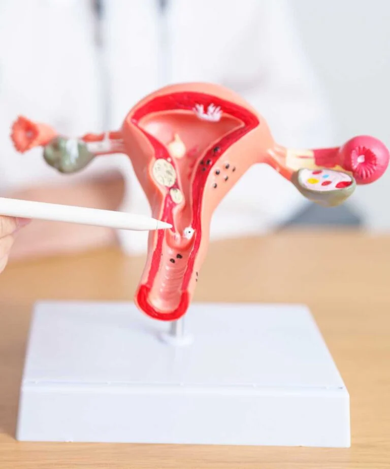 CosmoGyn Anatomical Diagnostics