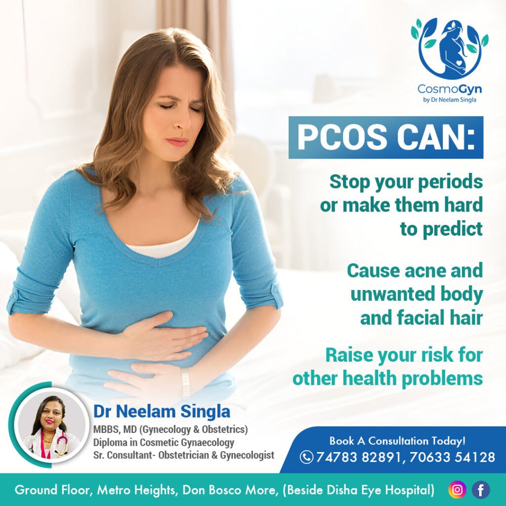 WhatsApp Image 2026-02-27 at 16.55.41